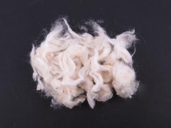 Bergschaf /natúr fehér/ mosott gyapjúpelyhek 1kg